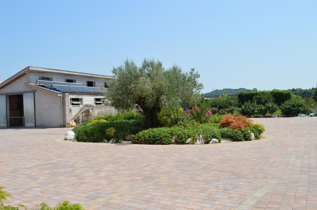 Agriturismo Ca' Del Gal Valeggio sul Mincio Buitenkant foto