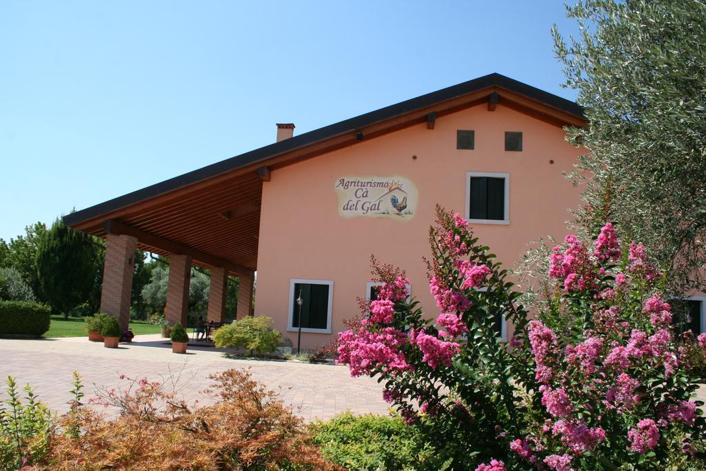Agriturismo Ca' Del Gal Valeggio sul Mincio Buitenkant foto